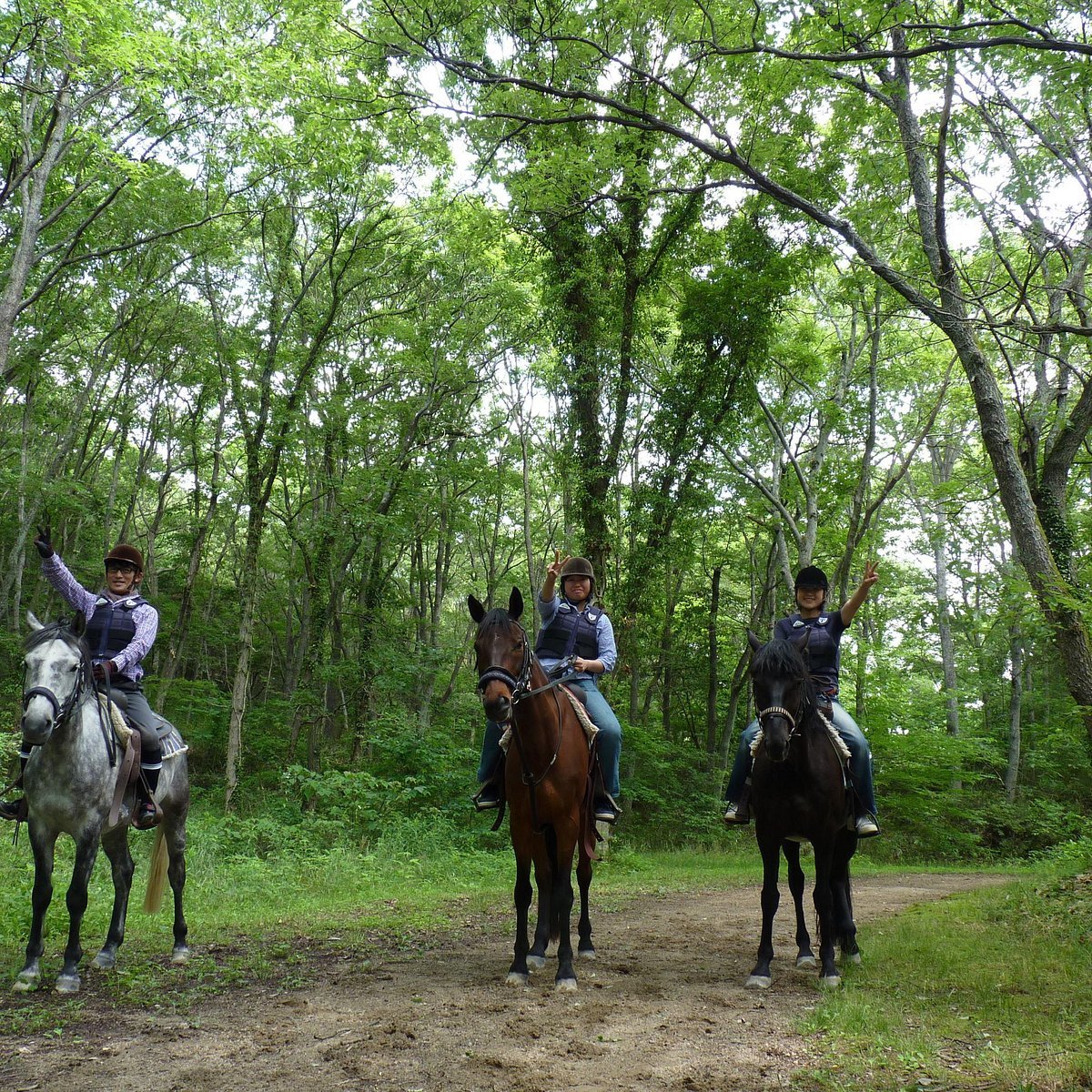 🐎 미키 호스랜드 파크 (미키 호스란도파쿠) 이미지 6